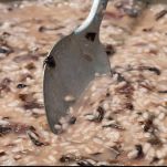 risotto-radicchio-e-noci-mantecatura