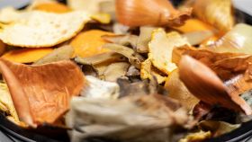 Scarti di cibo disgustosi