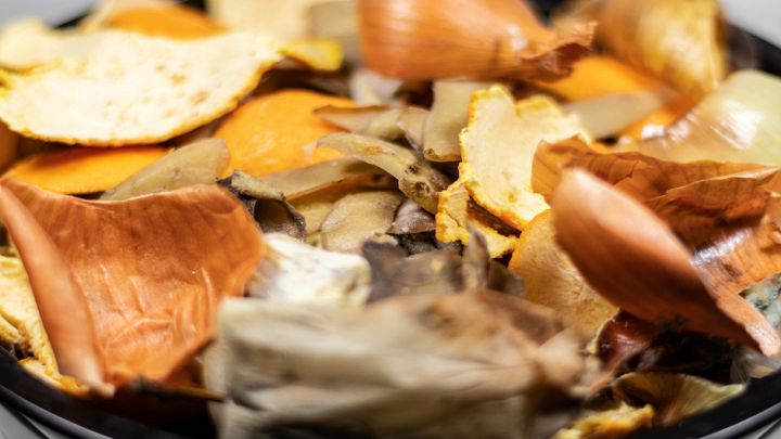 Scarti di cibo disgustosi