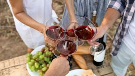 vino biologico naturale vegano quali differenze