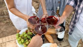 vino biologico naturale vegano quali differenze