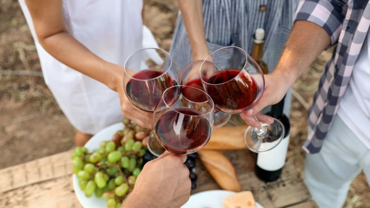 vino biologico naturale vegano quali differenze