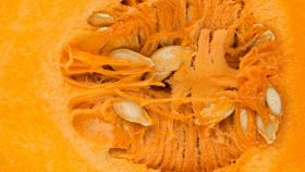 Ricette con la zucca