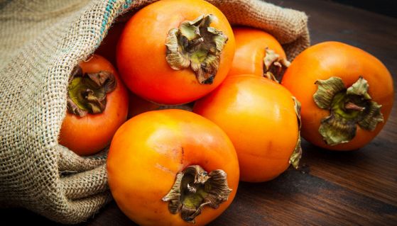 cachi muscoli allenamento come aiutano tutte le proprieta