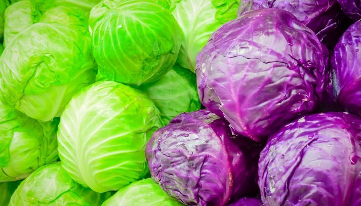 Cavoli autunnali
