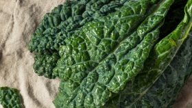 cavolo nero toscano benefici salute ricette