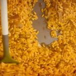 farrotto-alla-zucca-tostatura