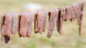 Filetti di aringa fermentata