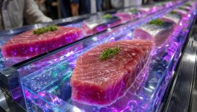 Filetti di costoso manzo Kobe