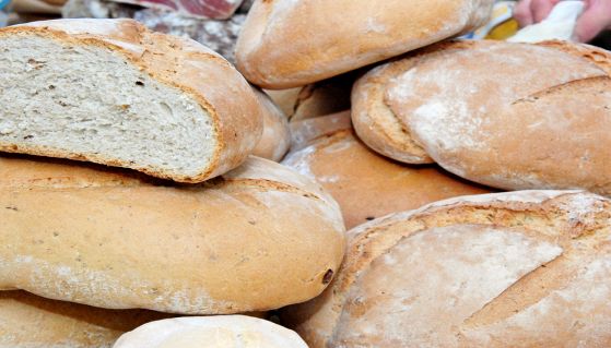 Fragranti pagnotte di pane toscano