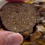 img_4739tagliatelle-porcini-e-tartufo-affettare-tubero