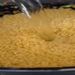 orzotto-con-verdure-aggiunta-orzo