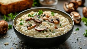 Risotto con crema di funghi