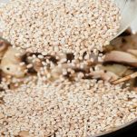 risotto-con-crema-di-funghi-tostatura-riso