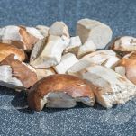 scaloppine-ai-funghi-pulizia-funghi