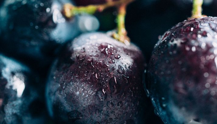 uva nera frutto anti aging altre proprieta