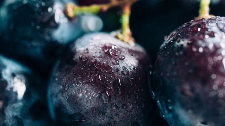 uva nera frutto anti aging altre proprieta