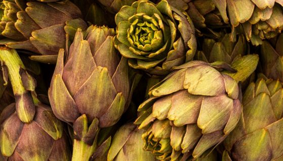 Varietà di carciofi italiani