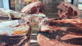 Carne di manzo cruda conservata in frigorifero industriale