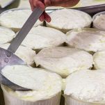 fustella-anacardi-ricotta-vegetale