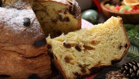 Gustoso panettone natalizio con zucchero a velo