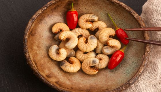 Larve fritte con peperoncini