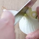 lasagne-di-finocchi-taglio-ortaggi