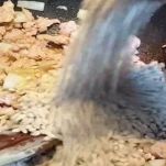 orzotto-con-salsiccia-aggiunta-orzo