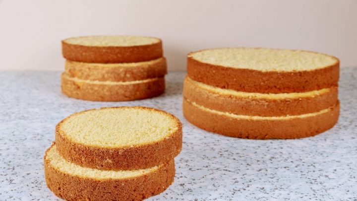 Pan di Spagna vegano