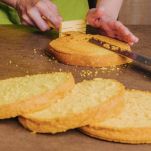 pan-di-spagna-vegano-presentazione