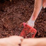 preparazione-biscotti-cheesecake-mascrpone-e-yogurt