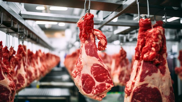 Tagli di carne cruda appesi nella cella frigorifera
