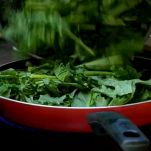 tortsa-salata-cime-di-rapa-e-scamorza-cottura-cdr