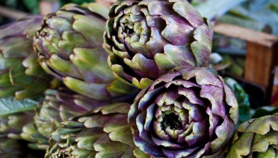 Varietà di carciofi italiani