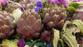 Varietà di carciofi italiani