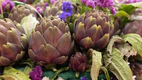 Varietà di carciofi italiani