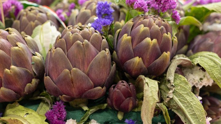 Varietà di carciofi italiani