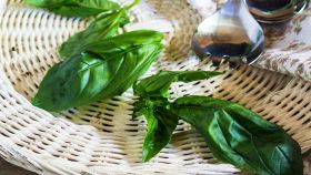 Foglie di basilico cotte