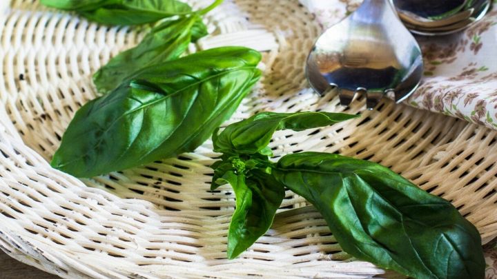 Sai che non va cotto? Ci sono dei motivi, può cambiare tutto