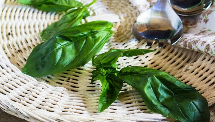 Foglie di basilico cotte