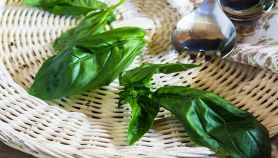 Foglie di basilico cotte