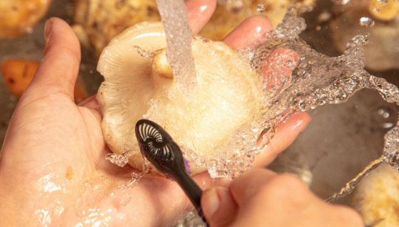 Funghi che vengono lavati