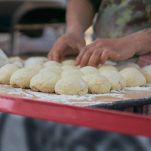 lievitazione-rizzuole