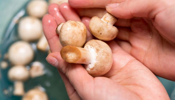 Funghi sciacquati