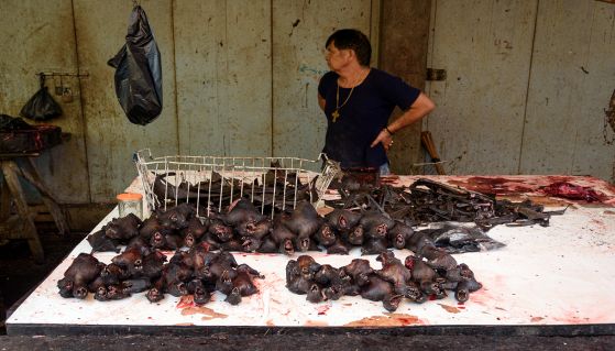 Pipistrelli arrostiti in un mercato indonesiano