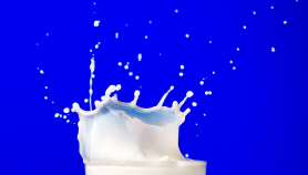 Mensa scolastica con cartone di latte, simbolo dell’alimentazione dei bambini negli Stati Uniti