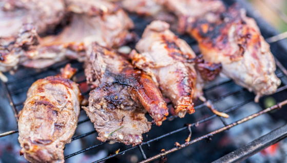 Nutria lungo un argine fluviale, simbolo di specie invasiva e dibattito su consumo alimentare e sicurezza sanitaria