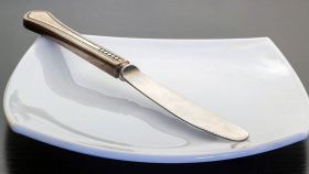 Forma del coltello, la punta arrotondata