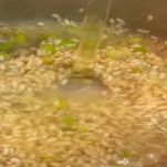 risotto-barbabietola-e-stracchino-cottura-in-brodo