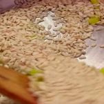 risotto-barbabietola-e-stracchino-tostatura-riso